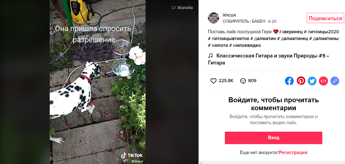 В комментариях у меня даже про этот кёрхер спрашивали