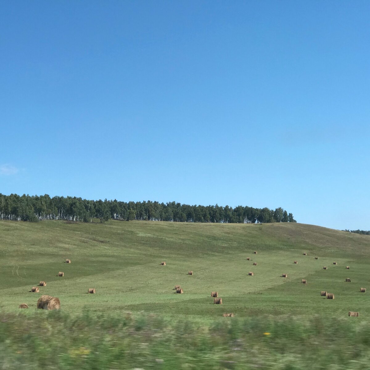 Озеро сосновое хакасия фото