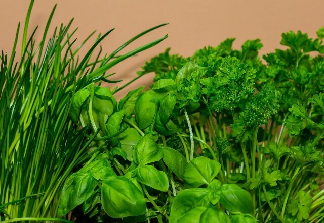 Источник фото Яндекс.Картинки