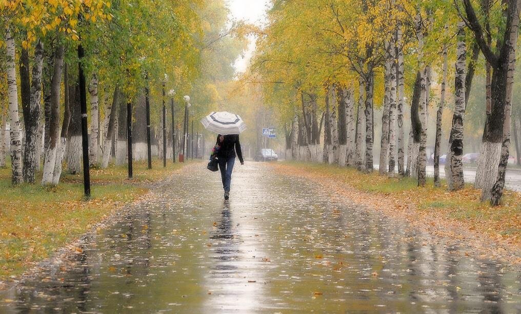 Фото — yandex.net