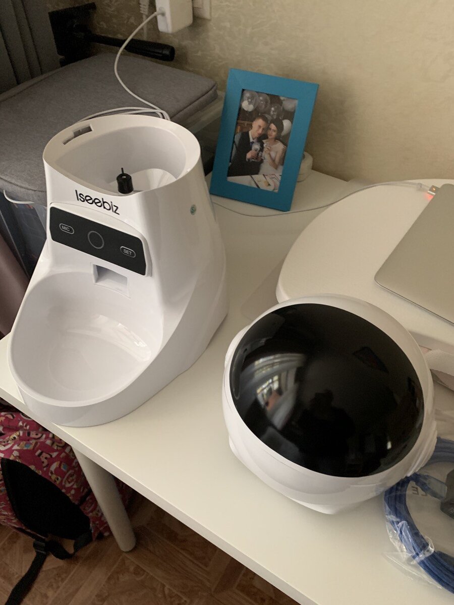 Только что привезли кормушку