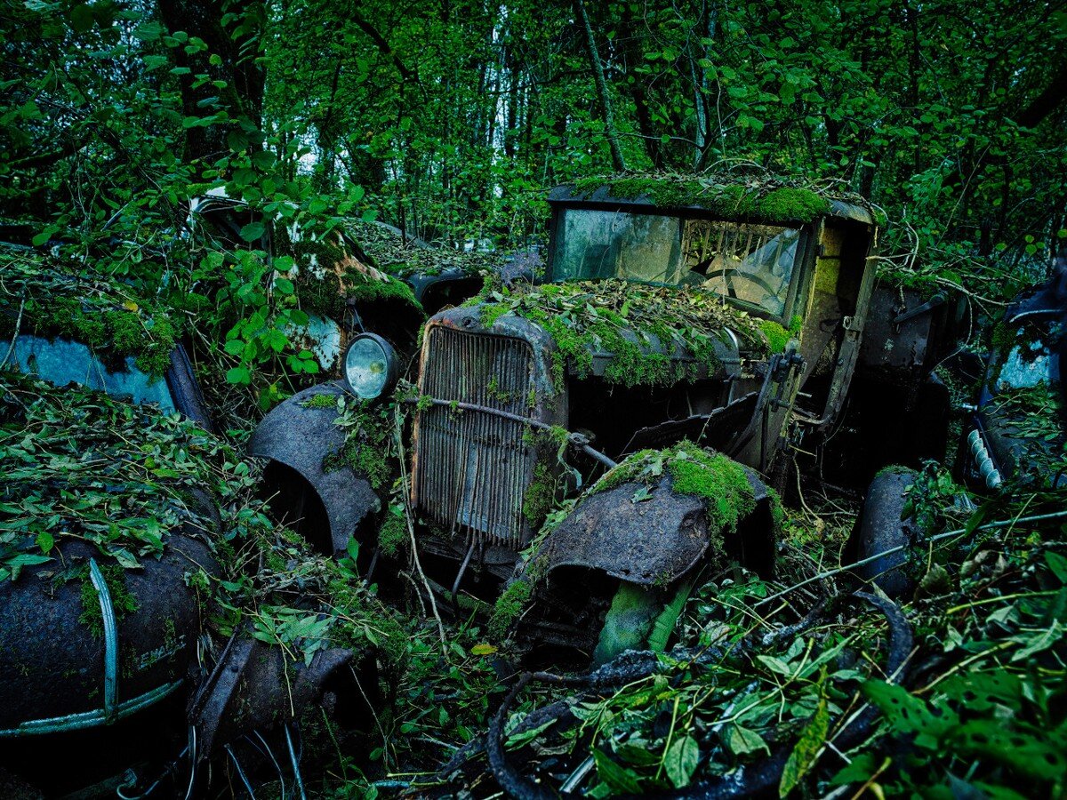 Брошенный мир машина. Автокладбище, Арденны, Бельгия. Лесное кладбище автомобилей Шатильон. Кладбище автомобилей в России. Заброшенные машины в лесу.