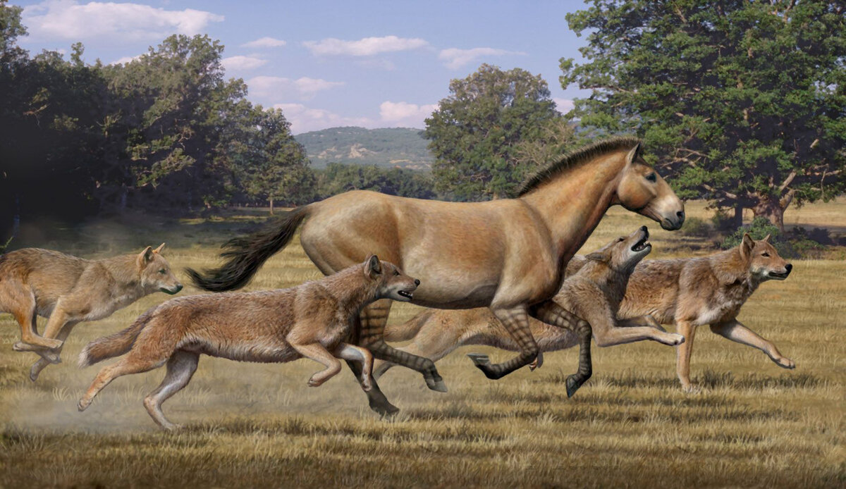 Записывайтесь на массаж! Прохрустим все ваши косточки! 