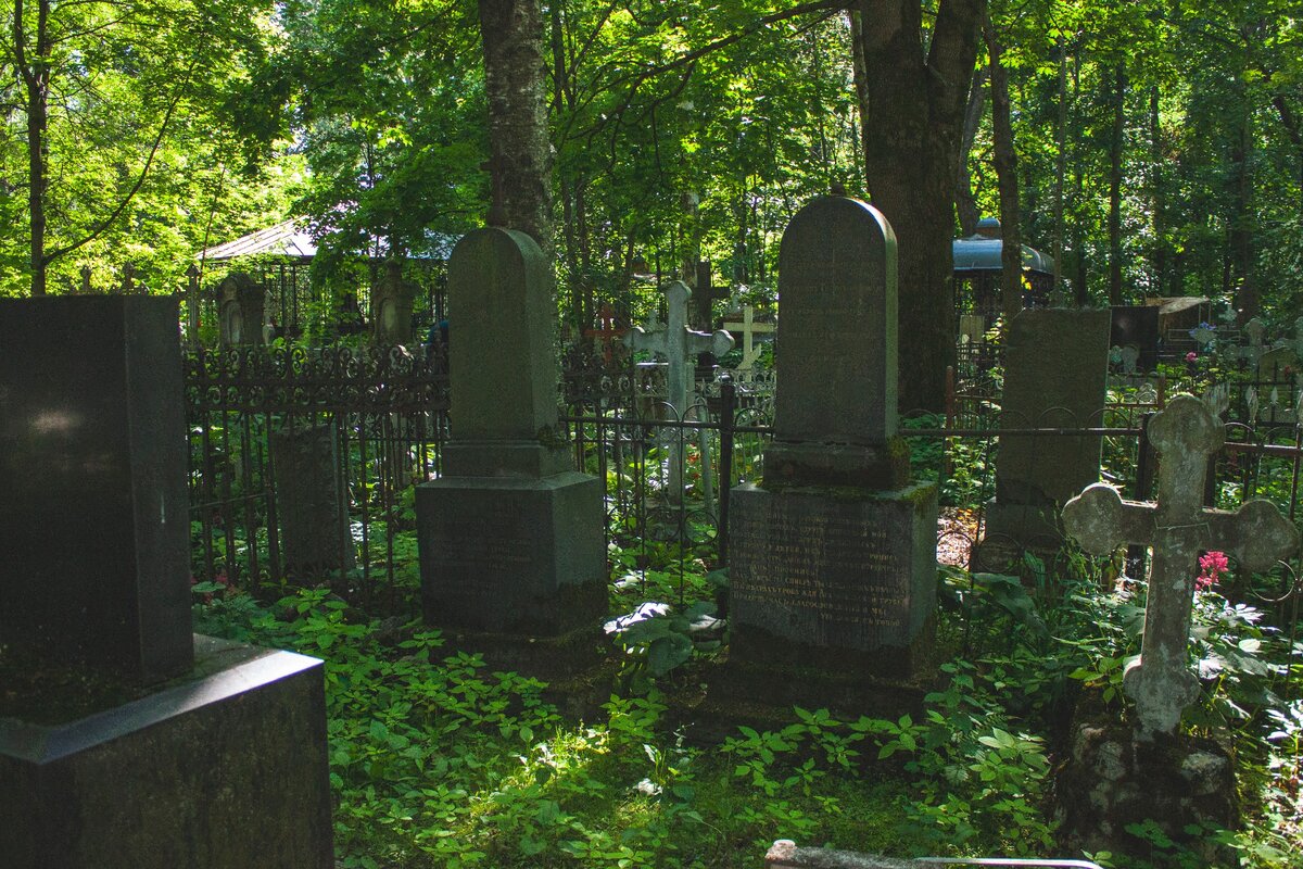 © фото: Дом Среди Лавров