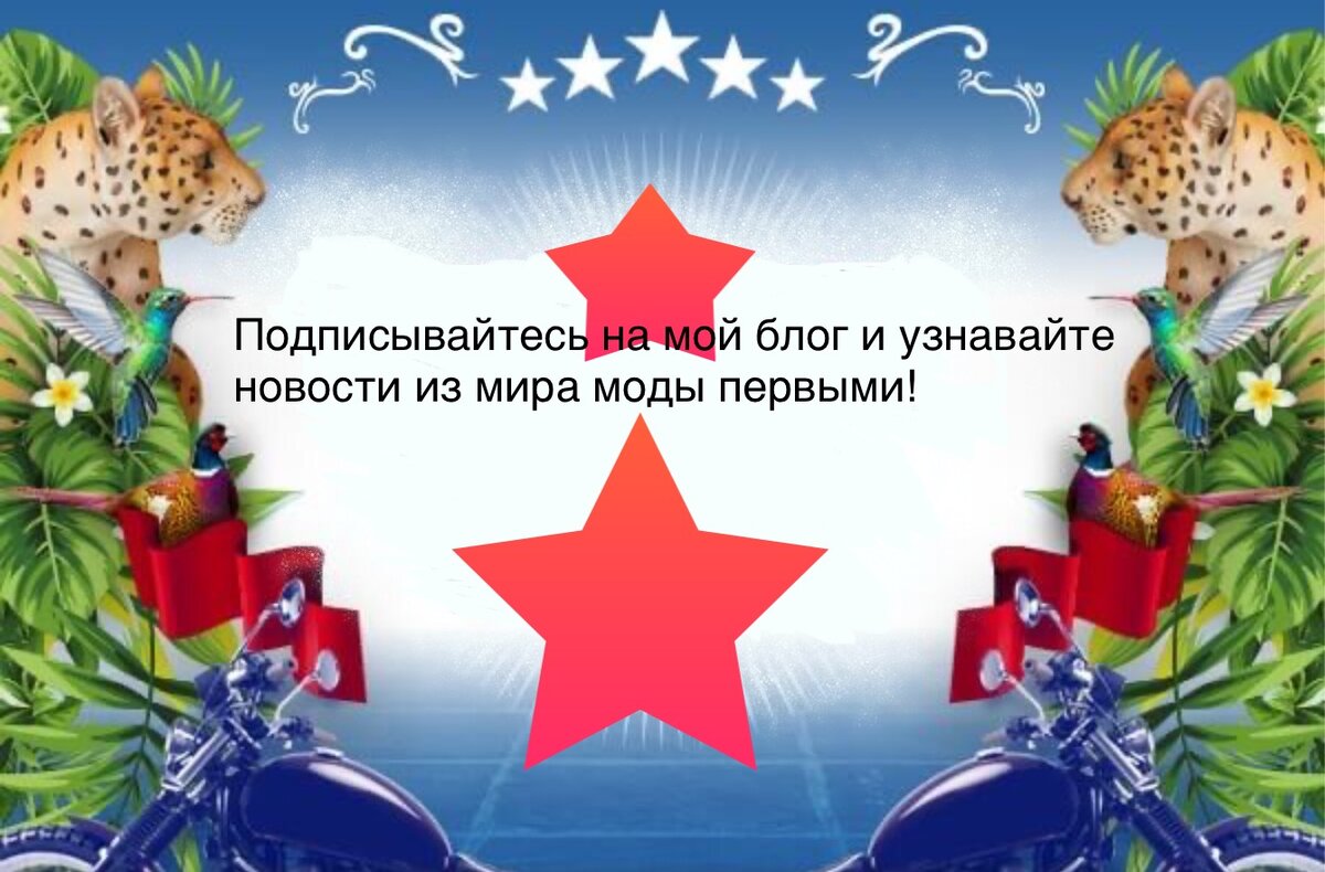 Шайло Питт совершенно изменилась, Анджелина Джоли придумала игру | СТИЛЬ  МОДА ТРЕНДЫ | Дзен