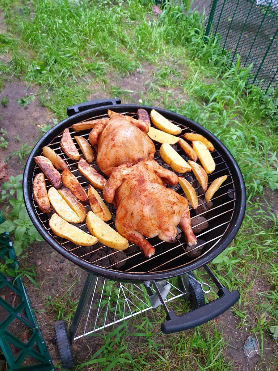 Молодые цыплята на гриле .