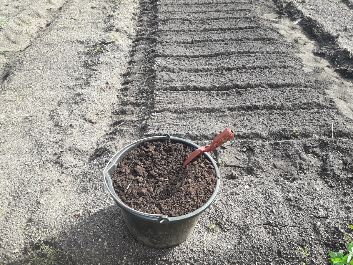 Грядка для подзимнего посева