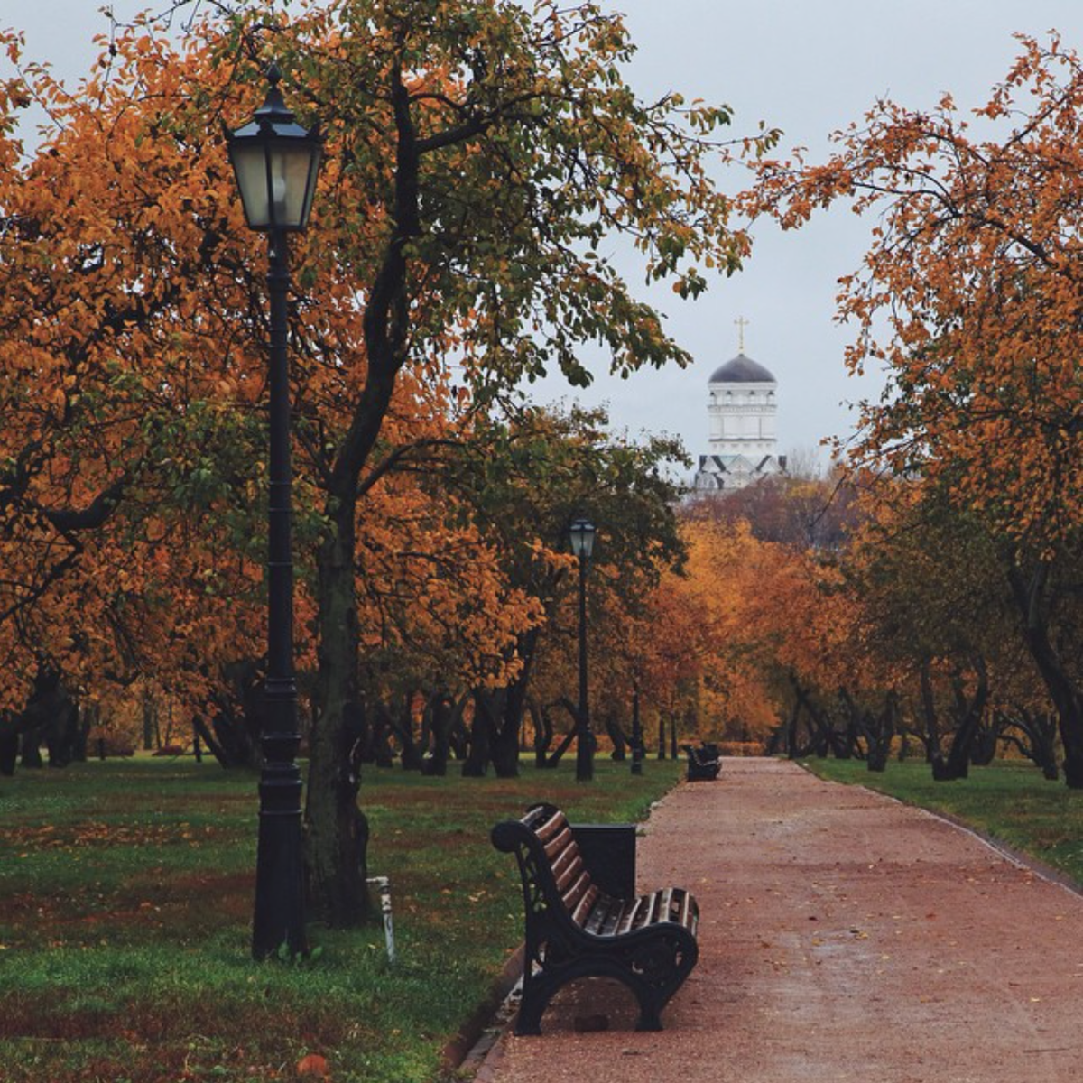 Москва осенью фото красивые