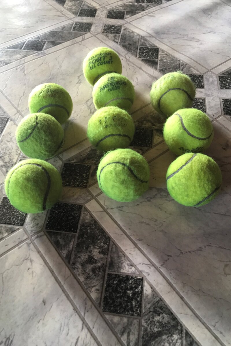 Это они общаются