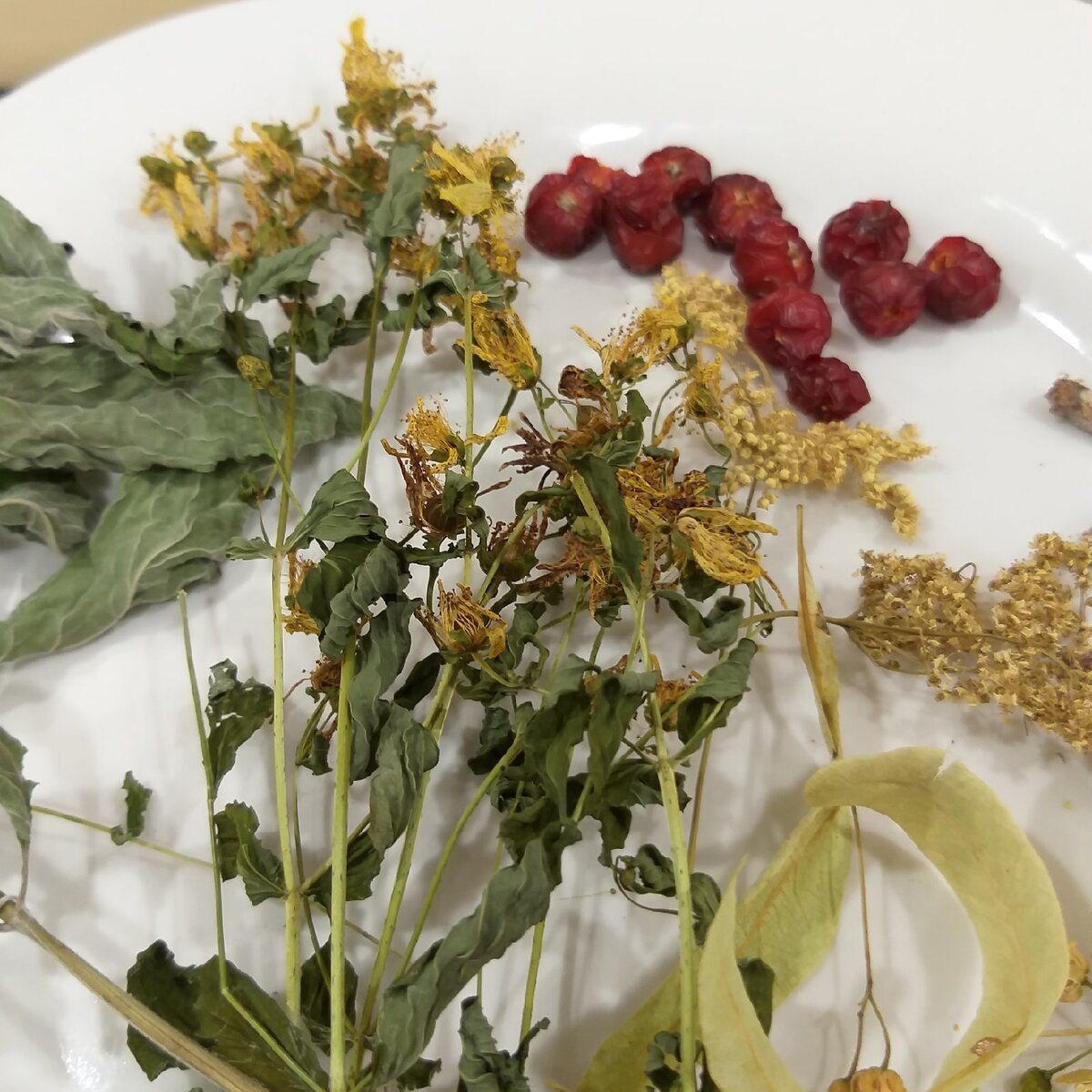 Ароматные травы для чая