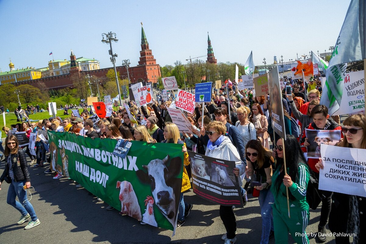 Первомай 2019 в Москве