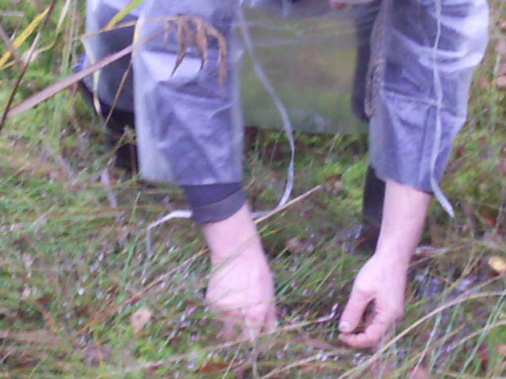 Все руками прямо с мха