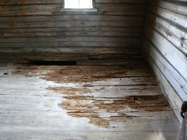 Фото: progermetik.ru/upload/img/12-04-19/1.jpg