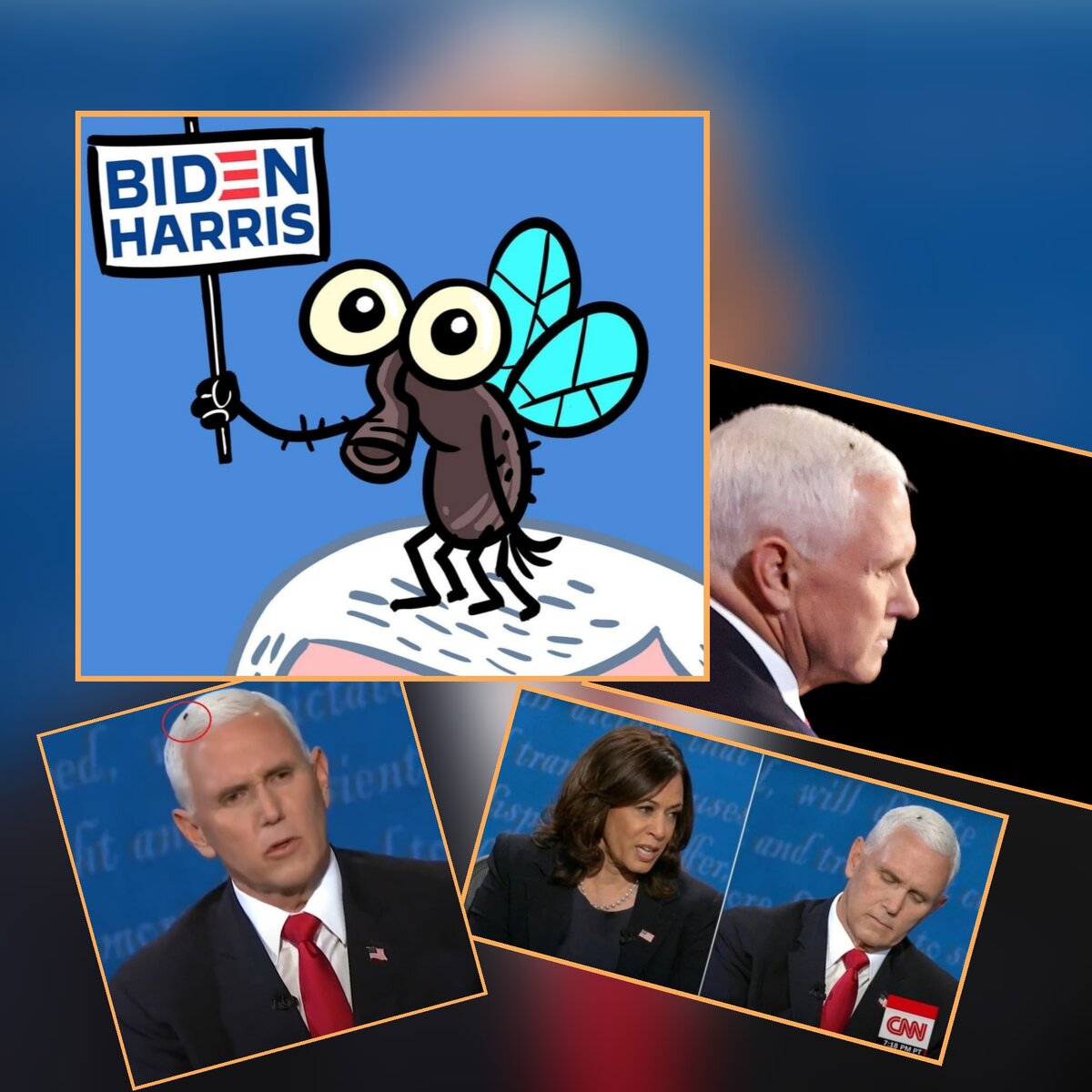 Коллаж автора на основе Яндекс. Фото