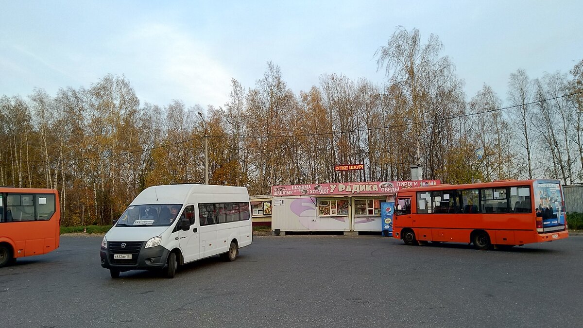 Нижегородский автовокзал телефон