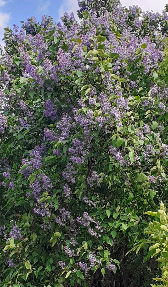 Фото взято из открытого источника.Для разбавления текста.