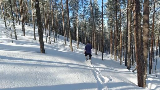 Одиночный поход в лес на снегоступах. Обалденная природа Северной Карелии. Зимний лес