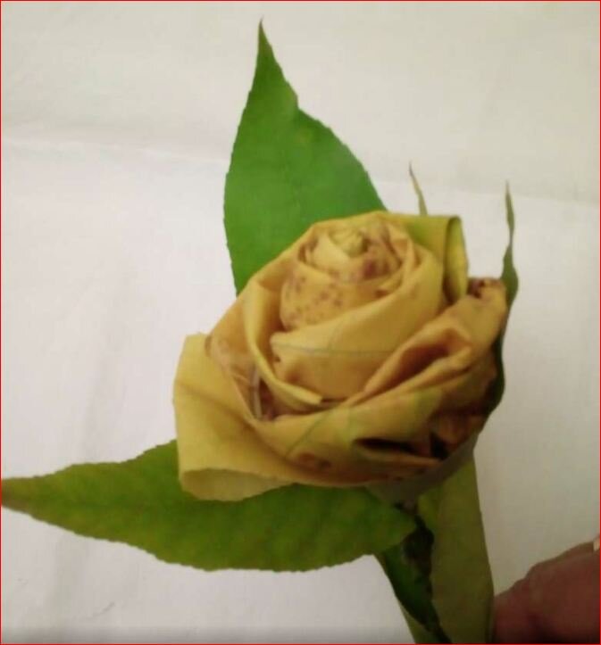 Роза из осенних листьев