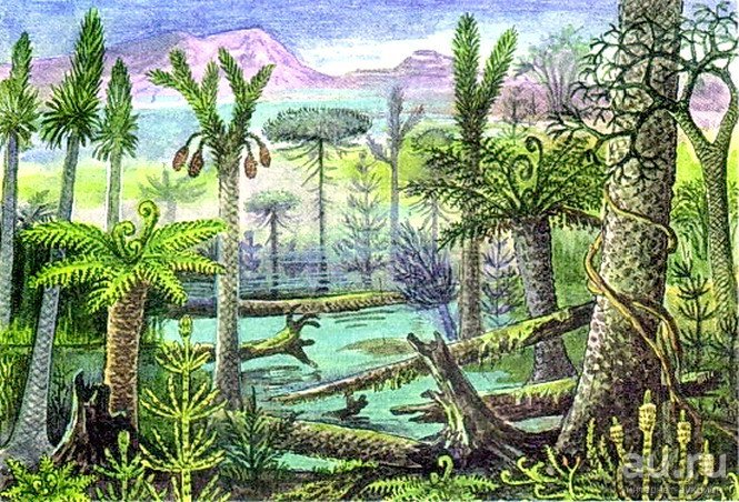 Доисторический папоротниковый лес