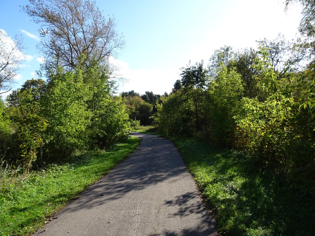 А по такой вот дороге мы выбирались к морю (ну ок, к заливу). Он на следующей фотографии