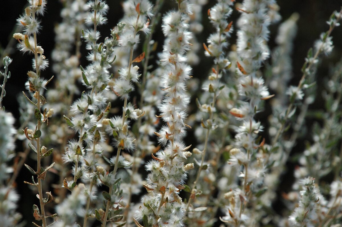 Фото Инны Берёзкиной @inessolex