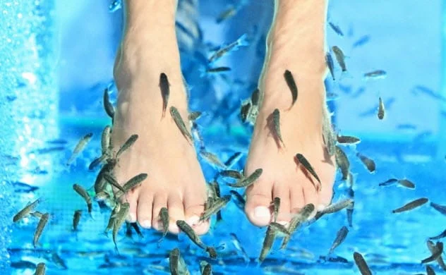 фото: Live Science