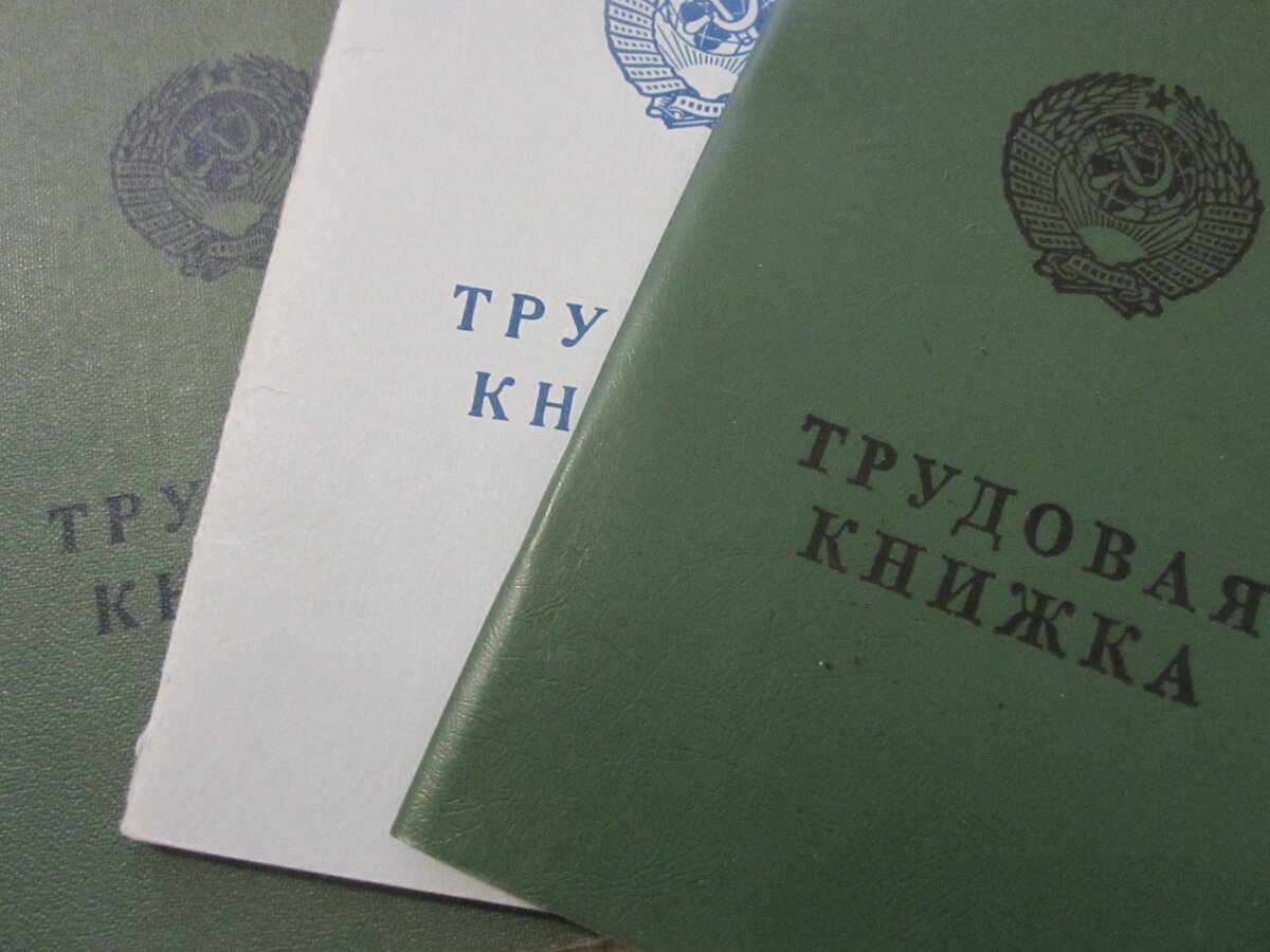 Одной трудовой книжкой не обошлось... (фото автора)