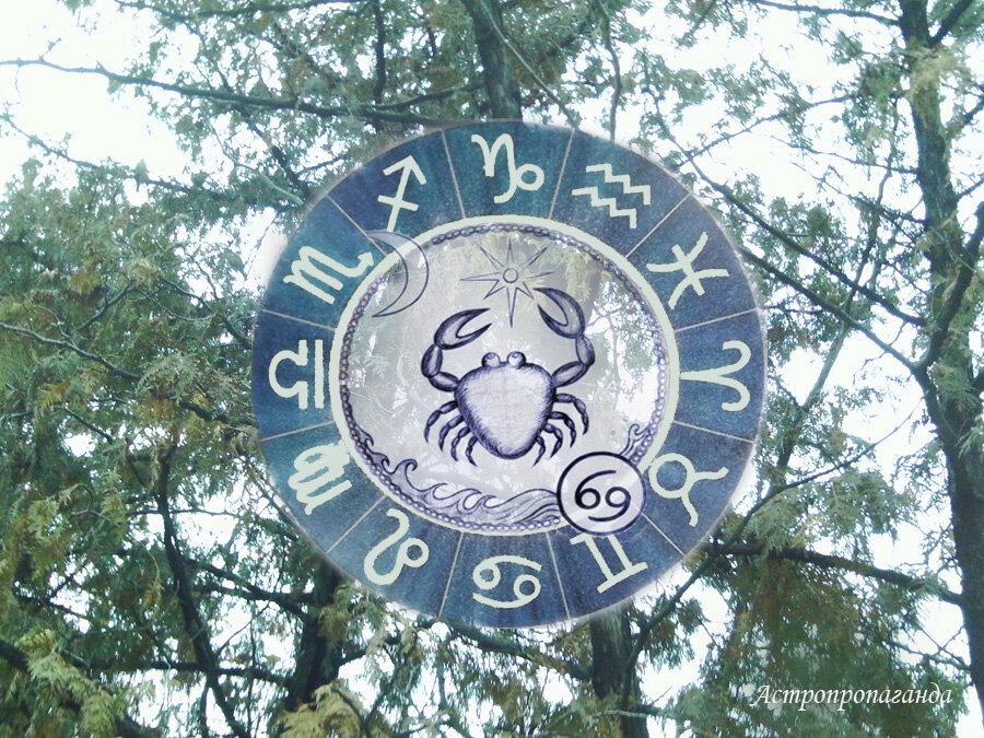 Коллаж Нины Стрелковой.