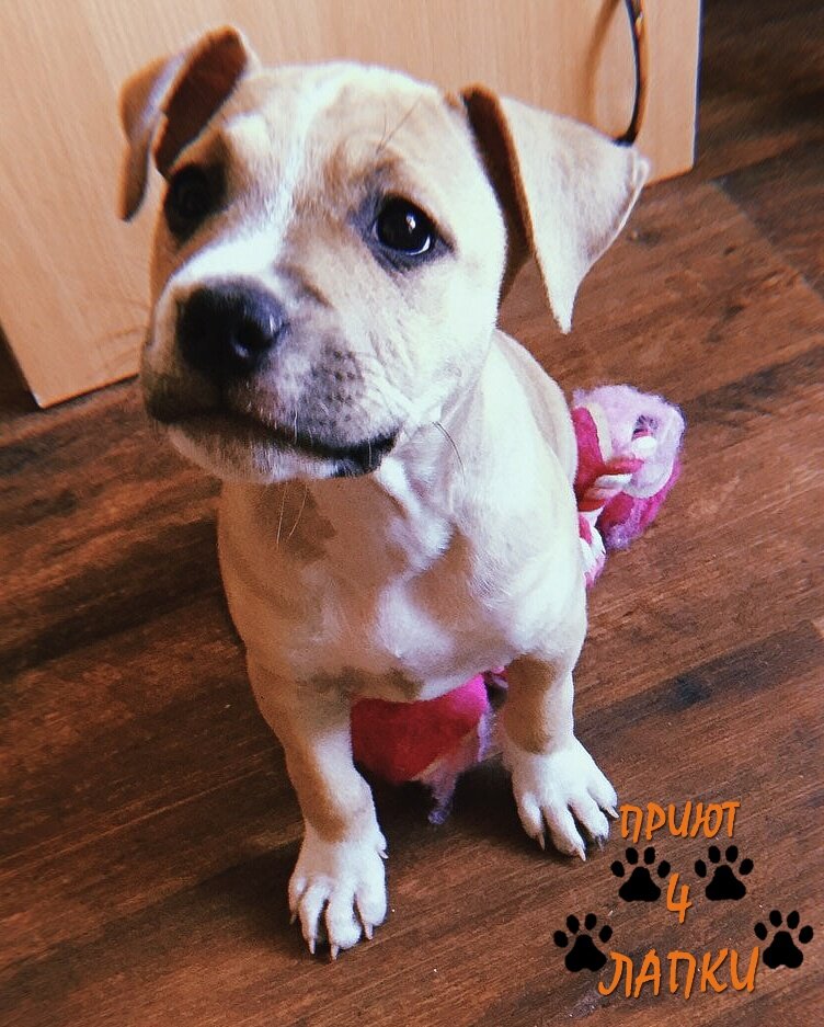 Фото: Шаталов Андрей