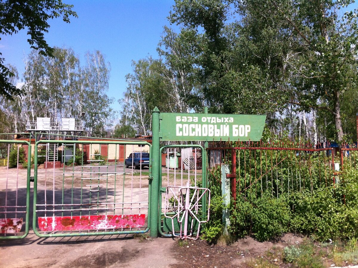 фото взято из картинок яндекс.