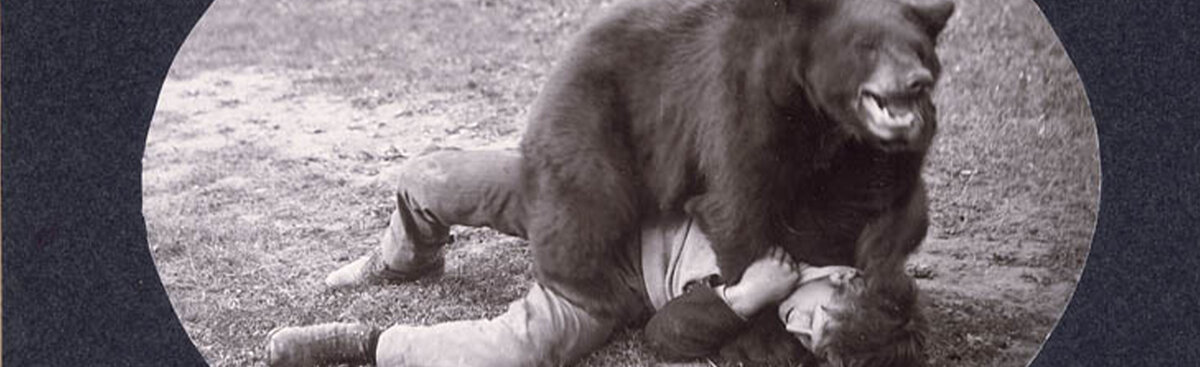 Изображение взято из открытых источников