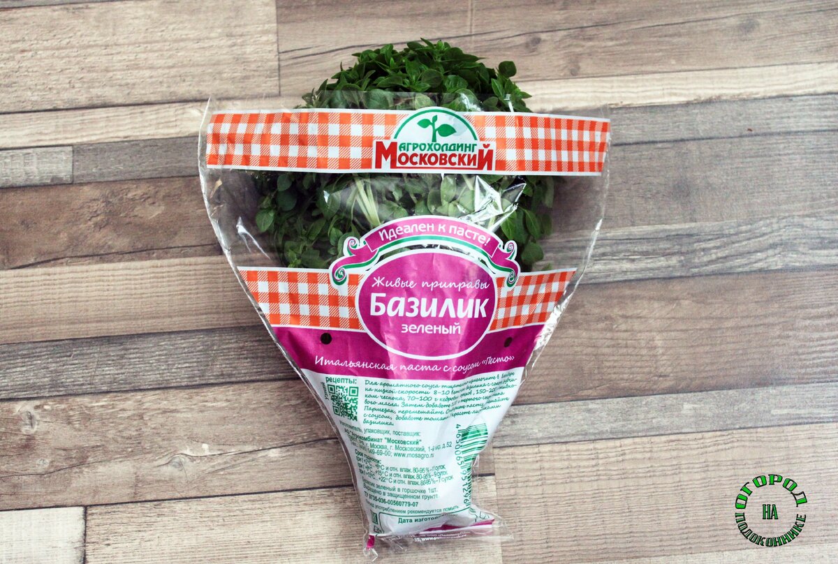 Базилик в горшочке