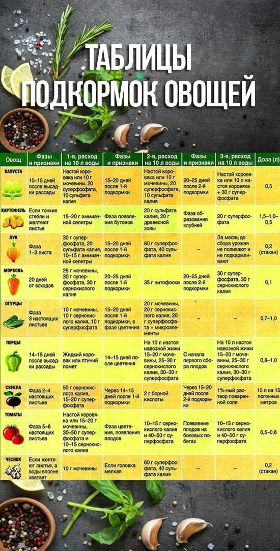 Таблица подкормки томатов. Таблица подкормки овощей. Схема подкормки овощей. Таблица подкормок. Удобрения для огорода таблица.