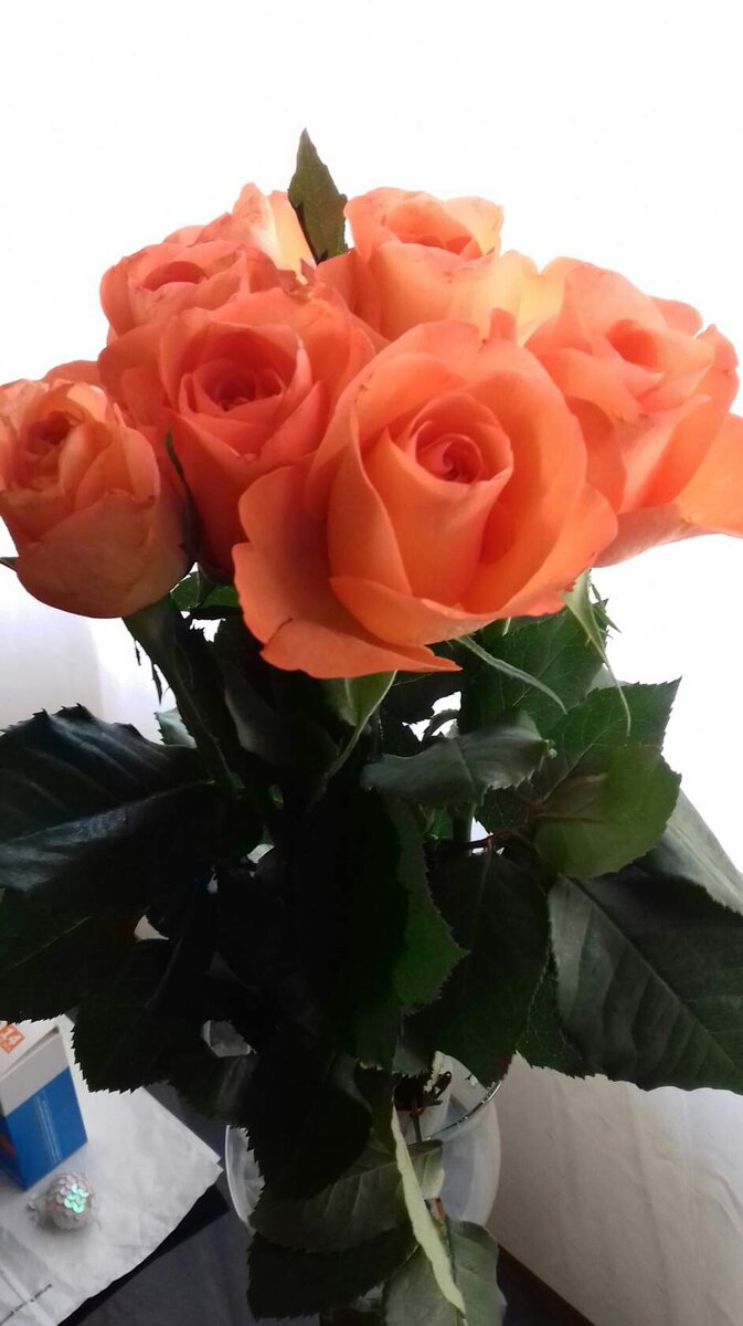 Распустившиеся роза -цветок признаний и любви,И с нею нежная мимоза- цветок проснувшийся весны,И скромный ландыш полевой,и светлый, и прекрасный. И все они- природы украшение. Так пусть твоя краса цветет, как роза,а в сердце будет нежная мимоза,а ум, как ландыш, будет светел и прекрасен!