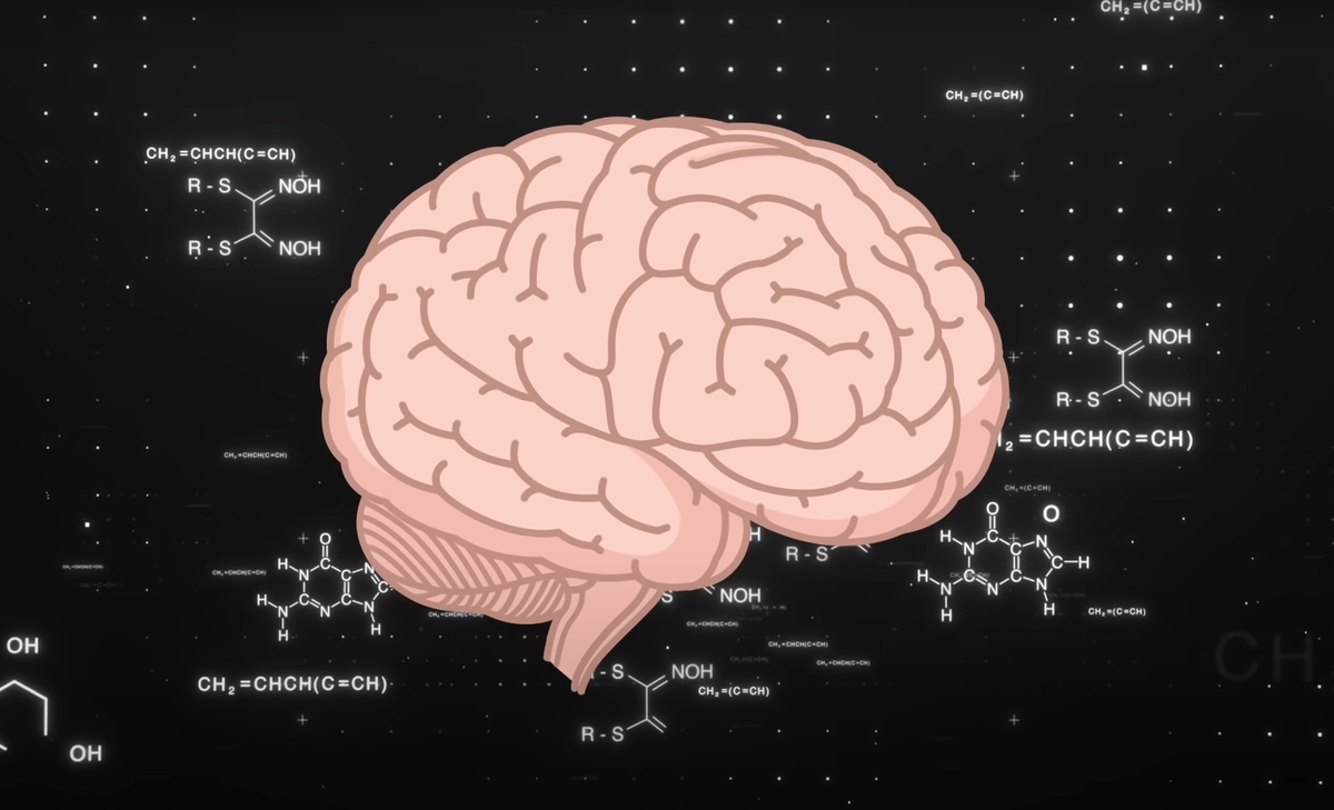 Этот тест, создан для проверки вашего коэффициента интеллекта (IQ) .