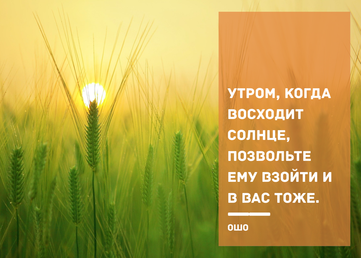 Цитаты оформлены автором канала.