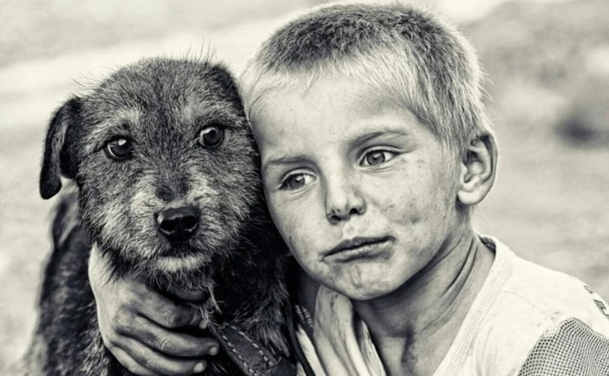 Фото из открытого источника Яндекс