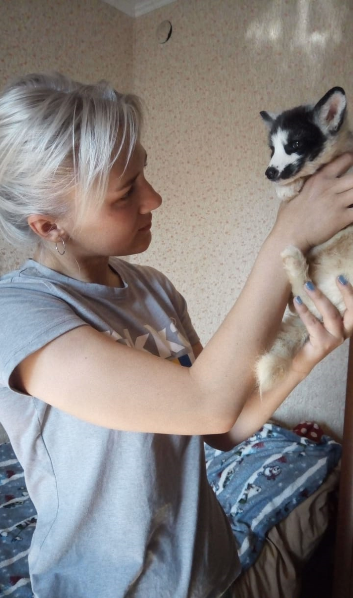 лисенок Зайчик