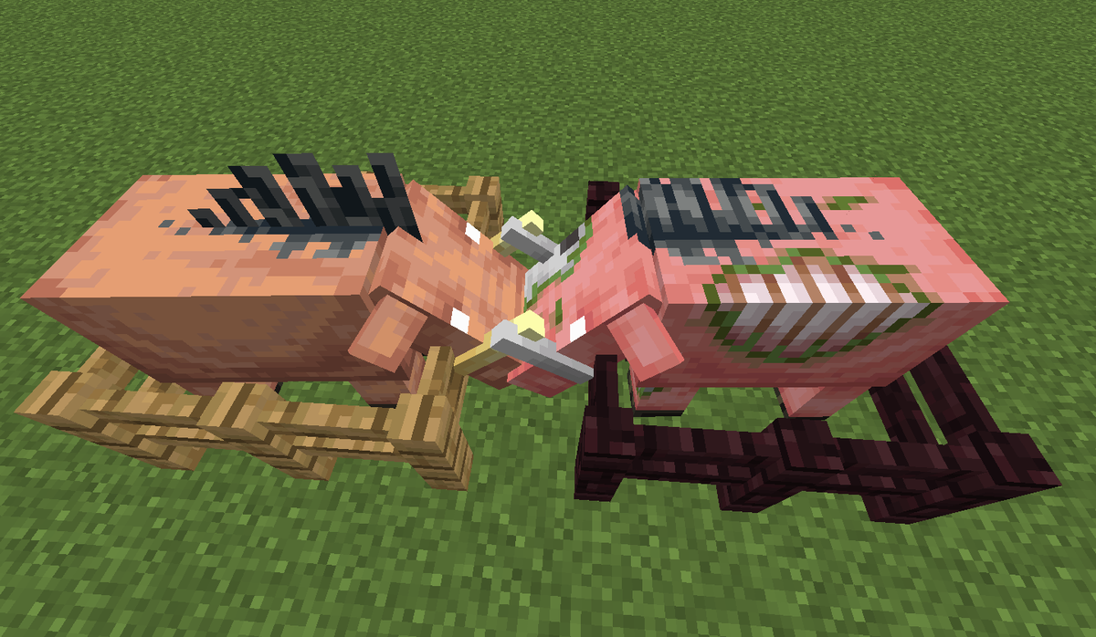 Фото автора канала. Хоглин и Зоглин.