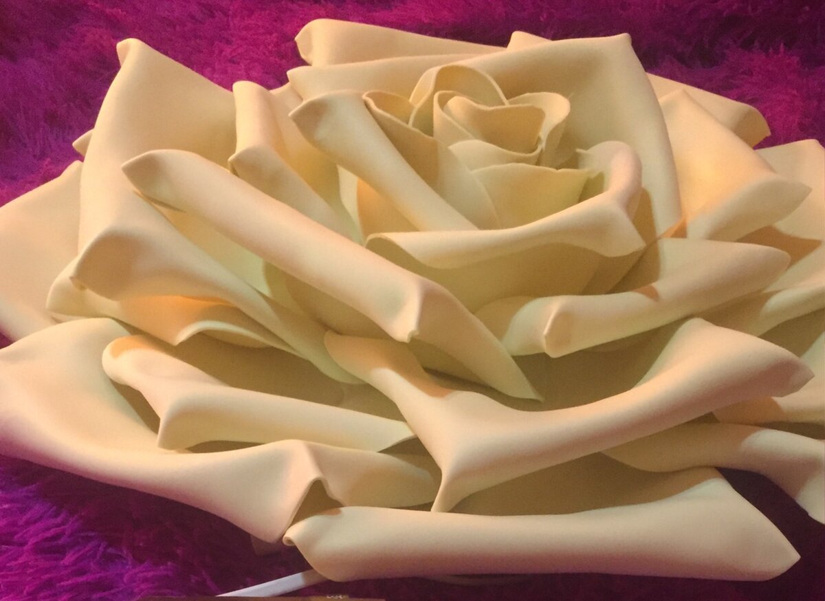 8 октября 2020 г