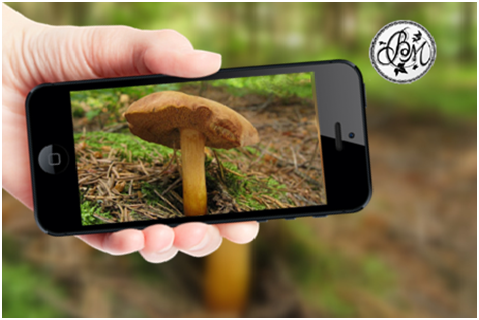 Ставьте лайки и подписывайтесь на мой канал.