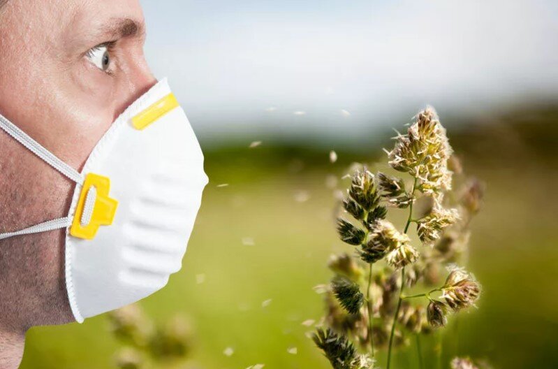 Как лечится аллергия?