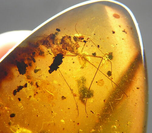 Ming Bai/Chinese Academy of Sciences