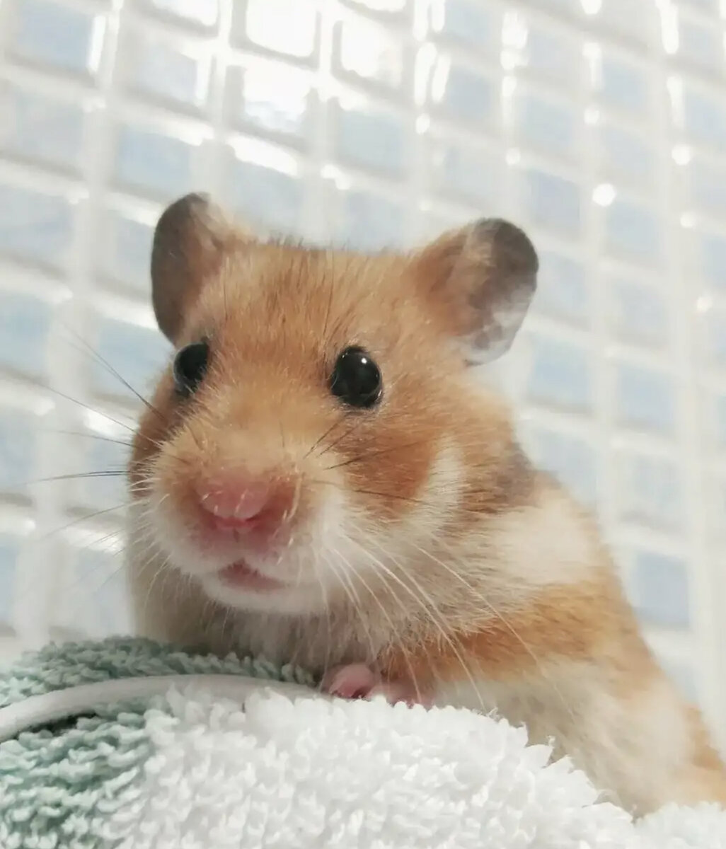 Преодоление преград: уроки, которые мы можем извлечь