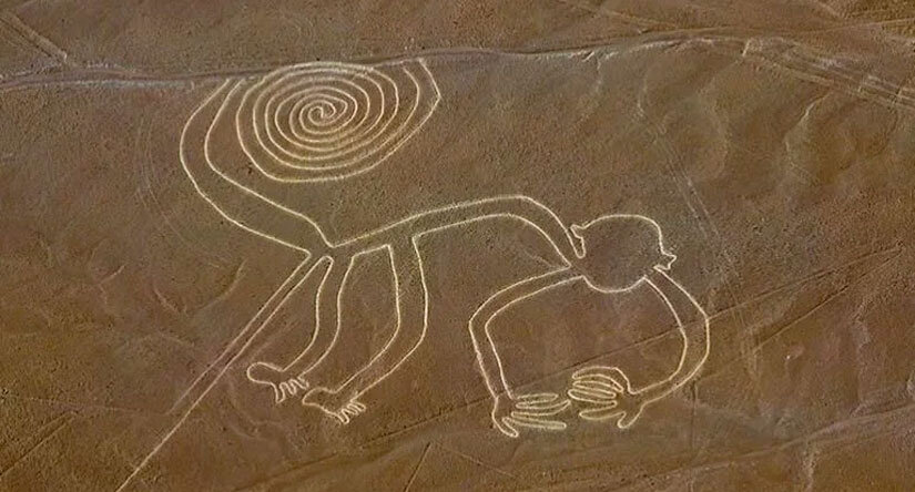 Обезьяна в долине Наска 