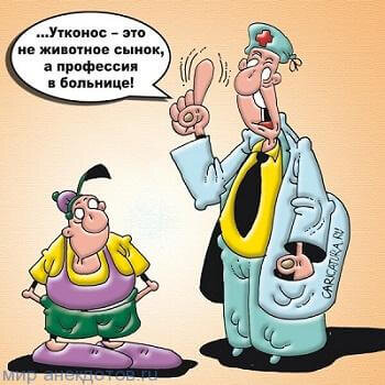 Источник "мир анекдотов"