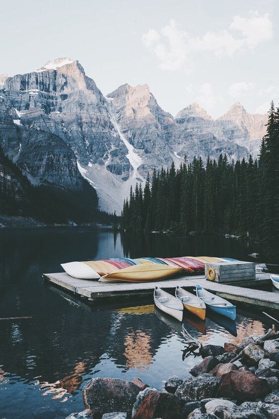                Фото взято из свободных источников