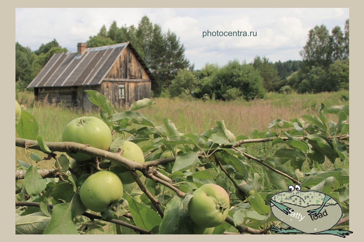 Часы с кукушкой, банка селёдки и 