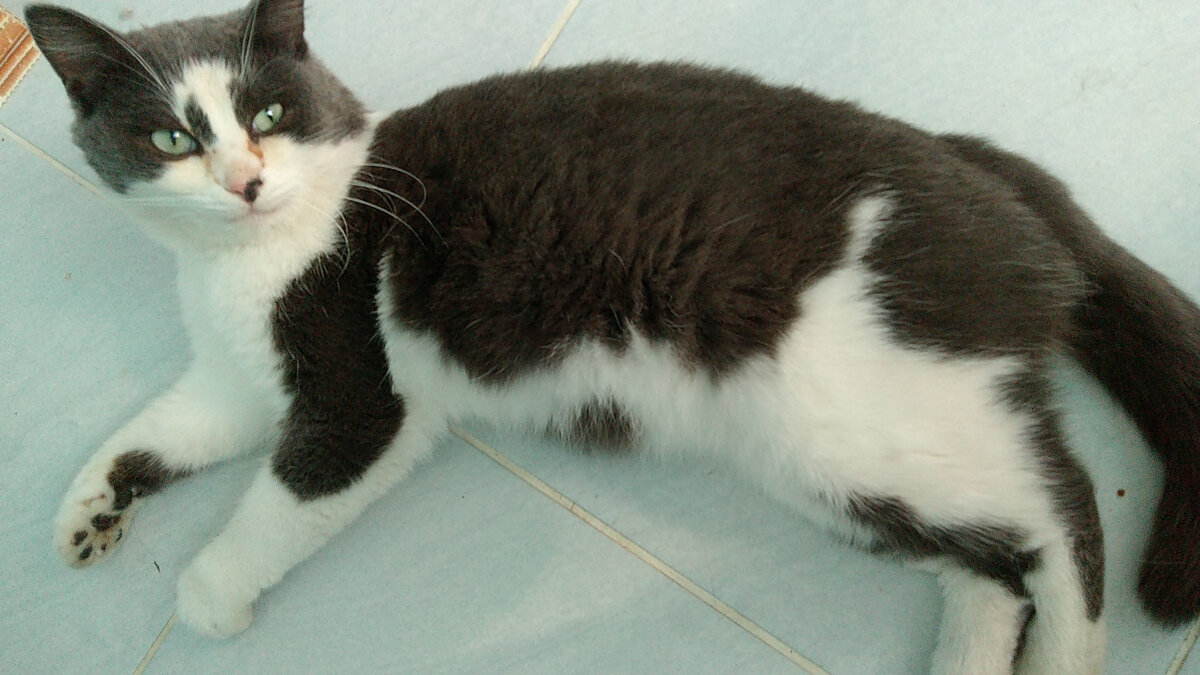 Возможно Вы видели эти фото в соцсетях.