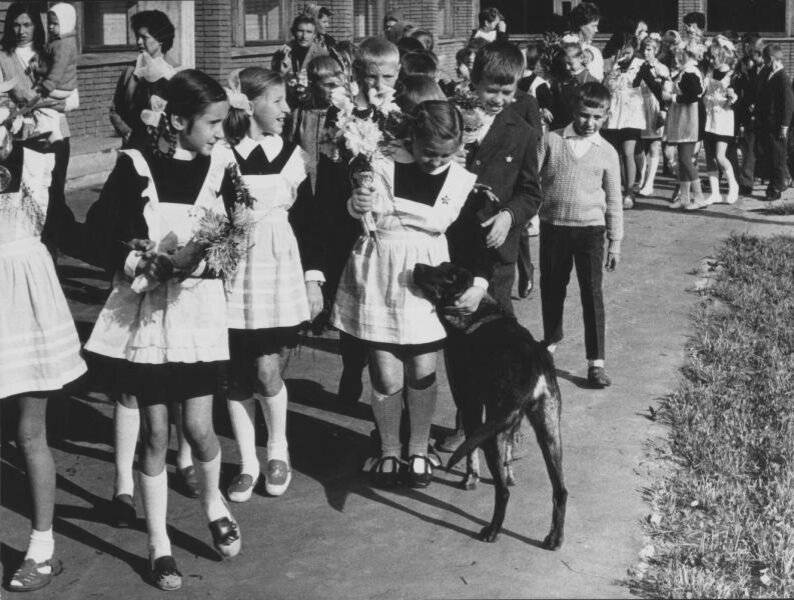 Первое сентября. Всеволод Тарасевич, 1970 - 1975 год, МАММ/МДФ.